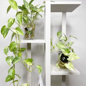 TALL SHELVING